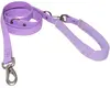 Spring Dog Leash