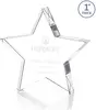 Standing Star Award