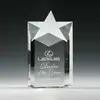 Corporate Crystal Star Achievement Award