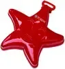 Imprinted Starfish Sand Mold