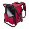 Take-n-Go Backpack Cooler Chair