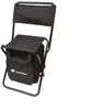 Portable Lounge Chair & Insulated Cooler Bag Set