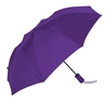 The Victory Umbrella