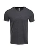 Threadfast Apparel Unisex Triblend Short-Sleeve T-Shirt