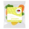 Tropical Fruit Summer Promo Snack Bags