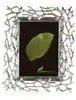 Twig Picture Frame - Gun Metal