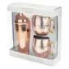 Twine Hammered Copper Bar Set
