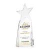 Vernon Star Award