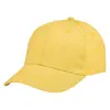 Vlag Jersey Cap