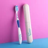 Wheatly Toothbrush Set