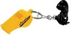 Logo Whistle Keytag