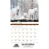 Wildlife Wall Calendar: 2025 Stapled