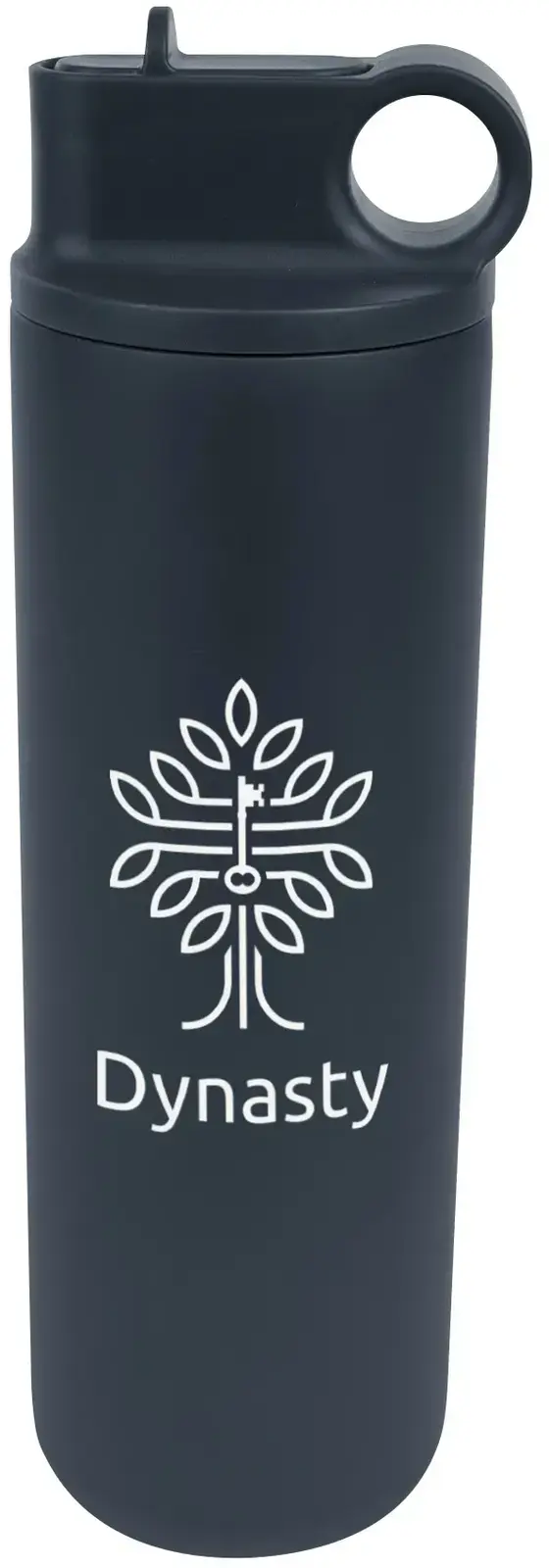 27 Oz. Roanoke Stainless Steel Bottle