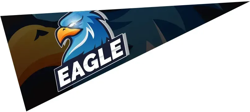 Custom Printed Pennant - 5" x 12"