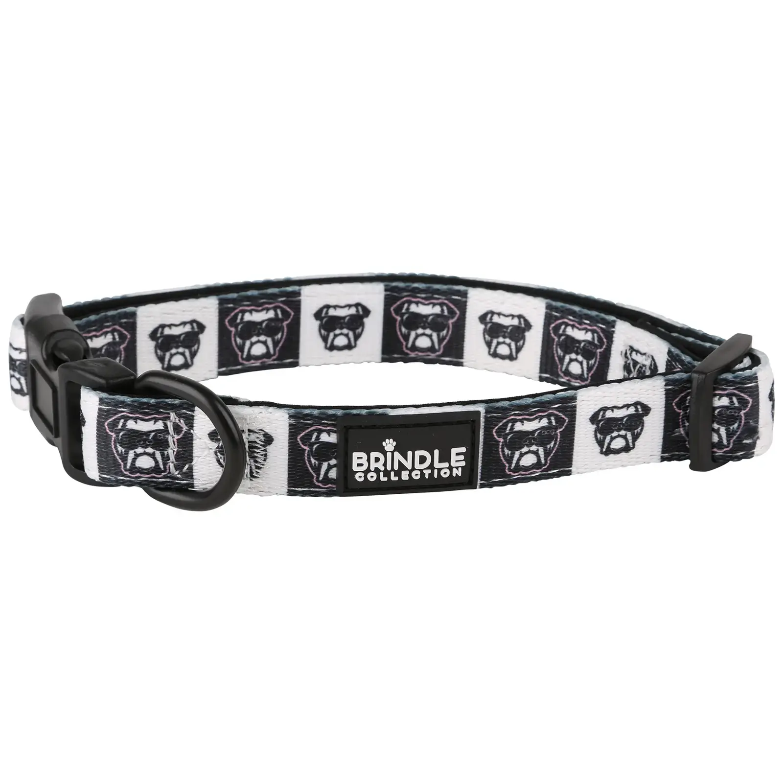 Dog Collar With Neoprene Backing: Large