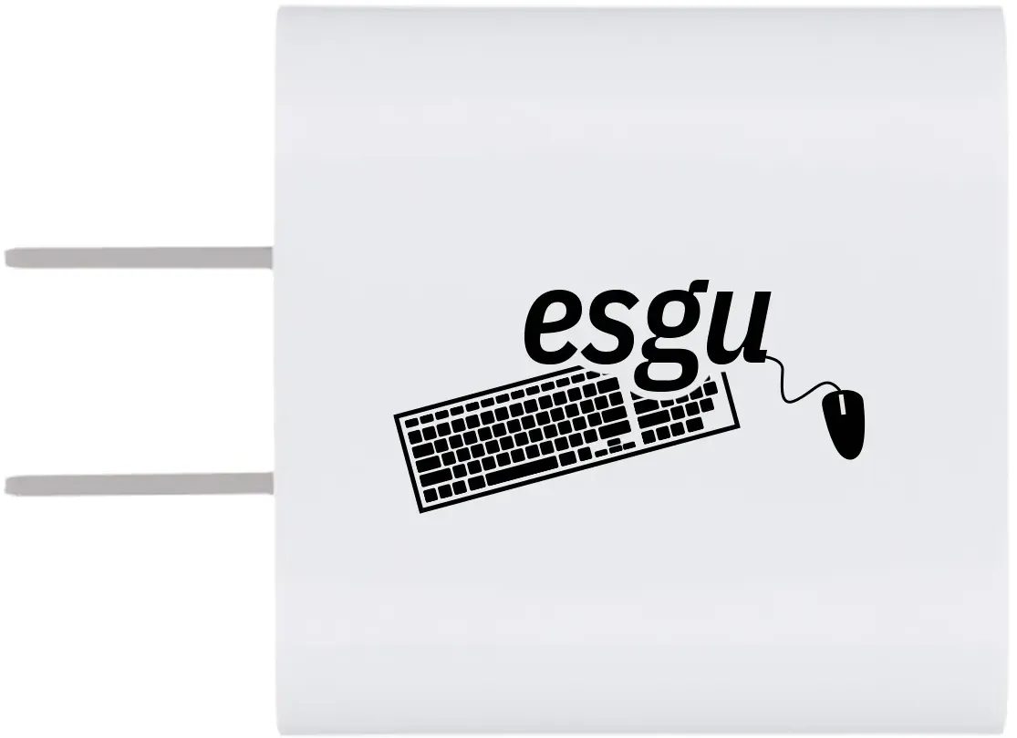 Custom Dual Power Adapter