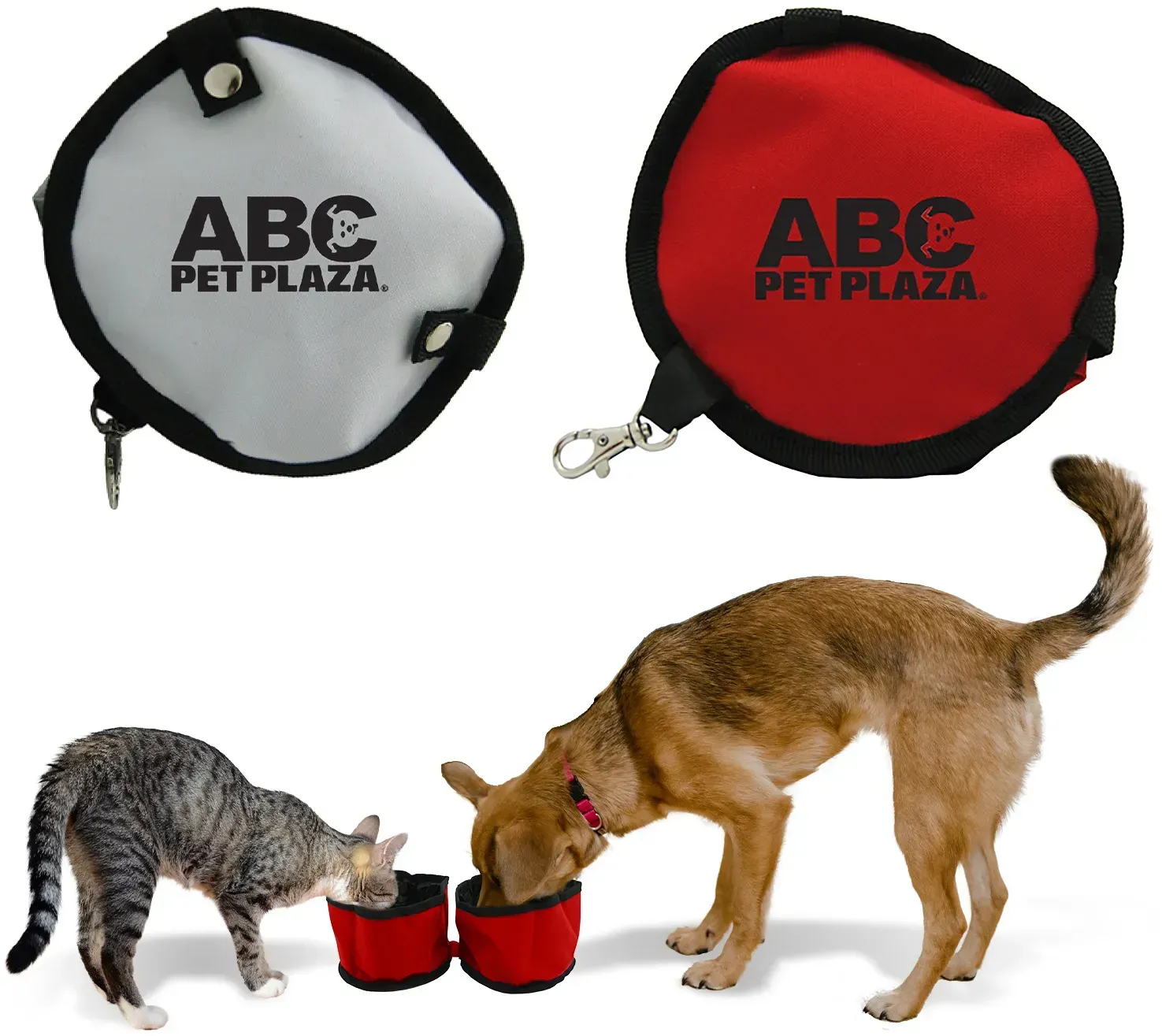 Personalized Dual Pet Bowl