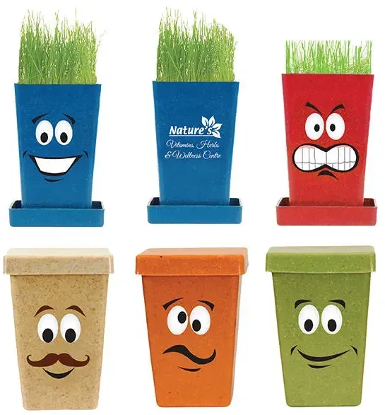 Expression Planter, 1-Pack Planter