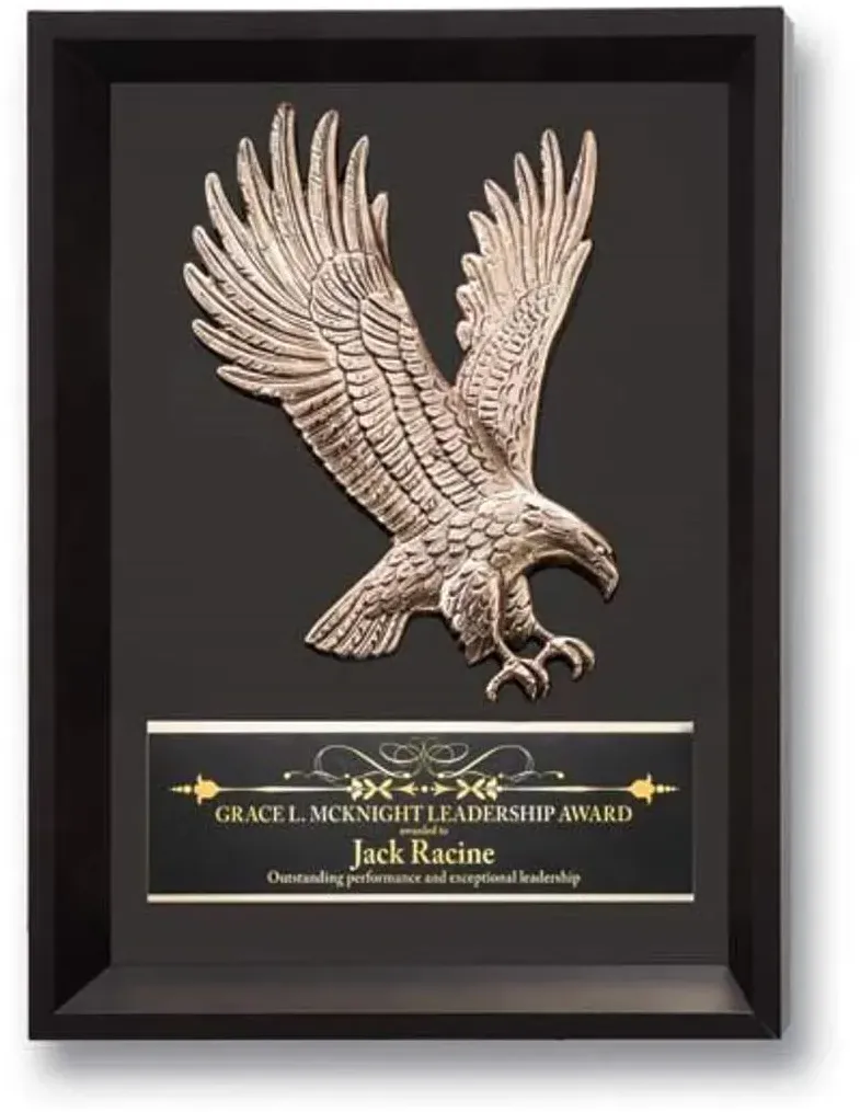 Framed Eagle 