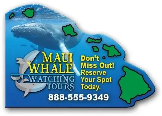 Hawaii State Magnet