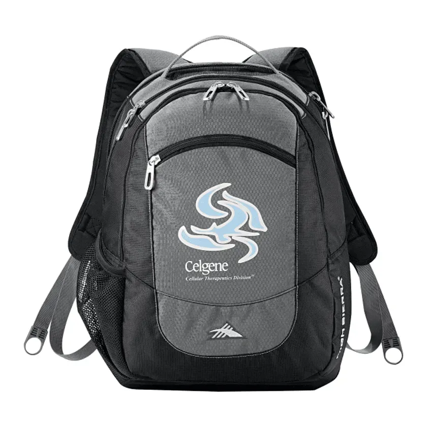 Custom High Sierra Fly-By 17" Computer Backpack
