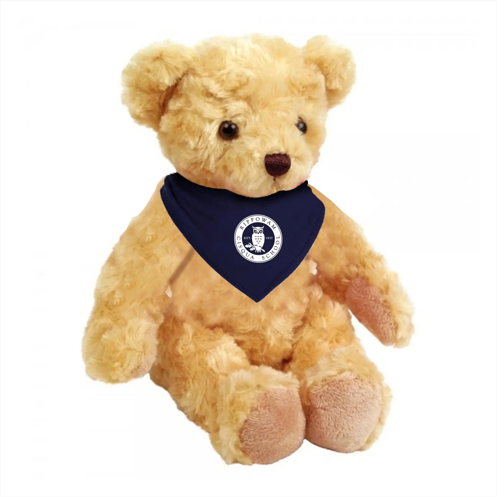 Honey Bear Plush Toy