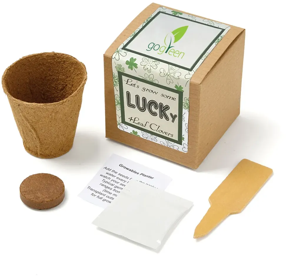 Lucky 4 Leaf Clover Growables Planter