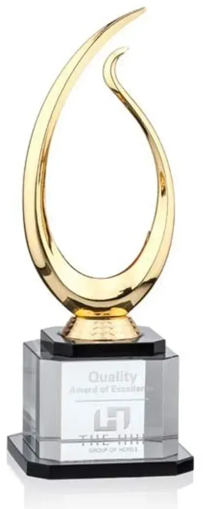 Custom Logo Gold Manor Award