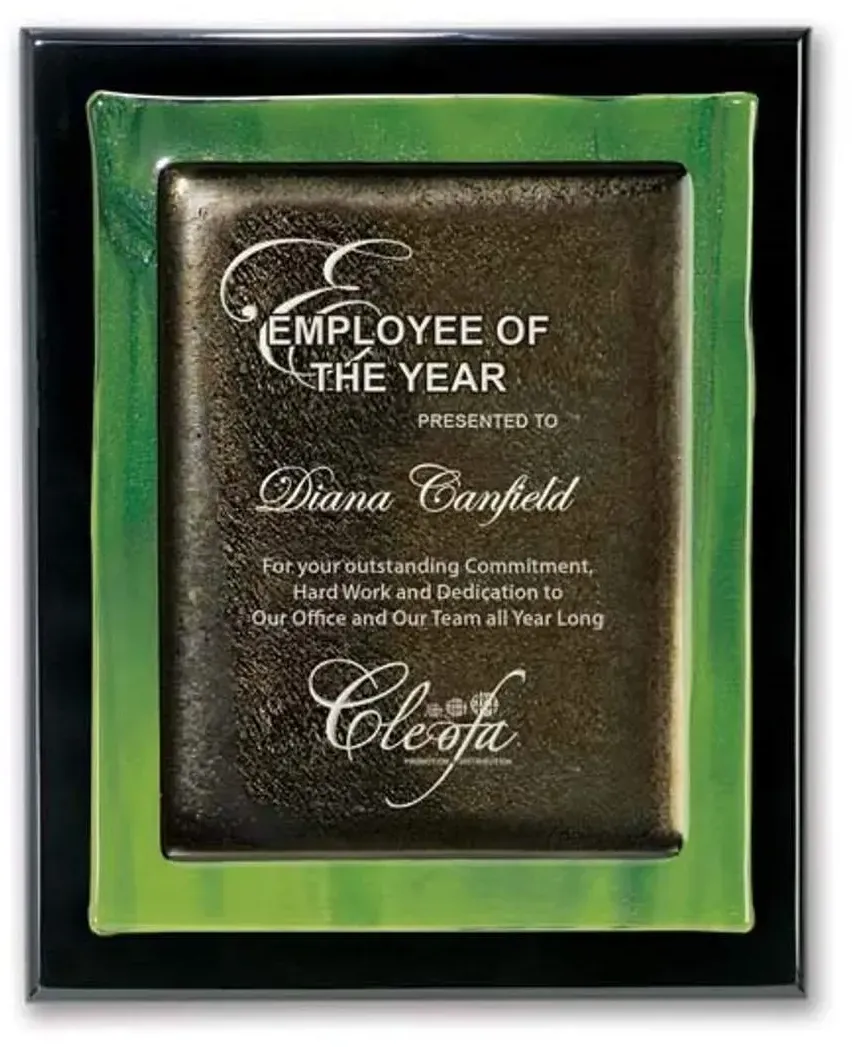 Metallic Fusion Plaque