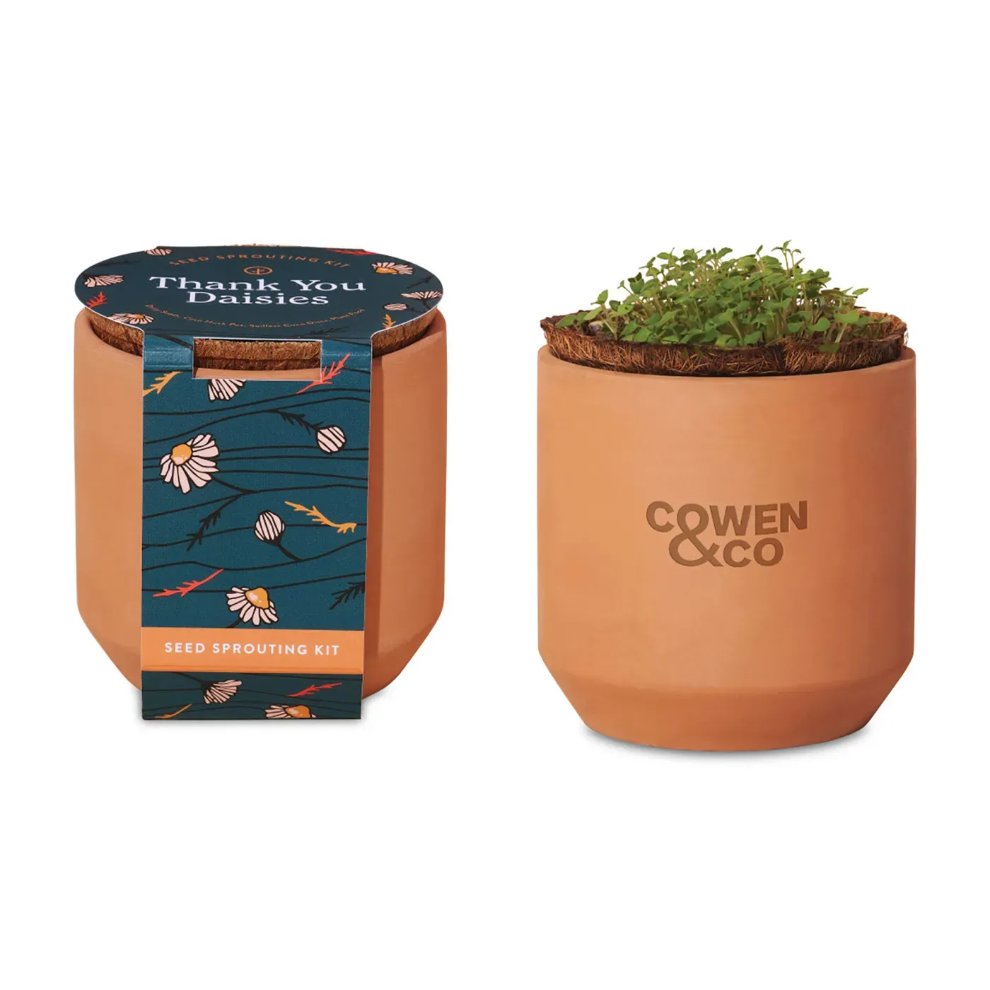 Modern Sprout® Tiny Terracotta Grow Kit Thank You Daisies