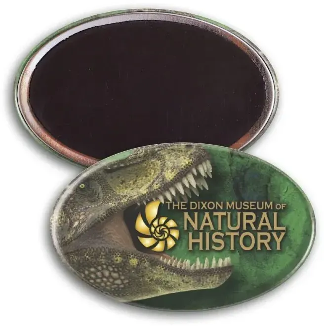 Promotional Oval Button w/ Magnet