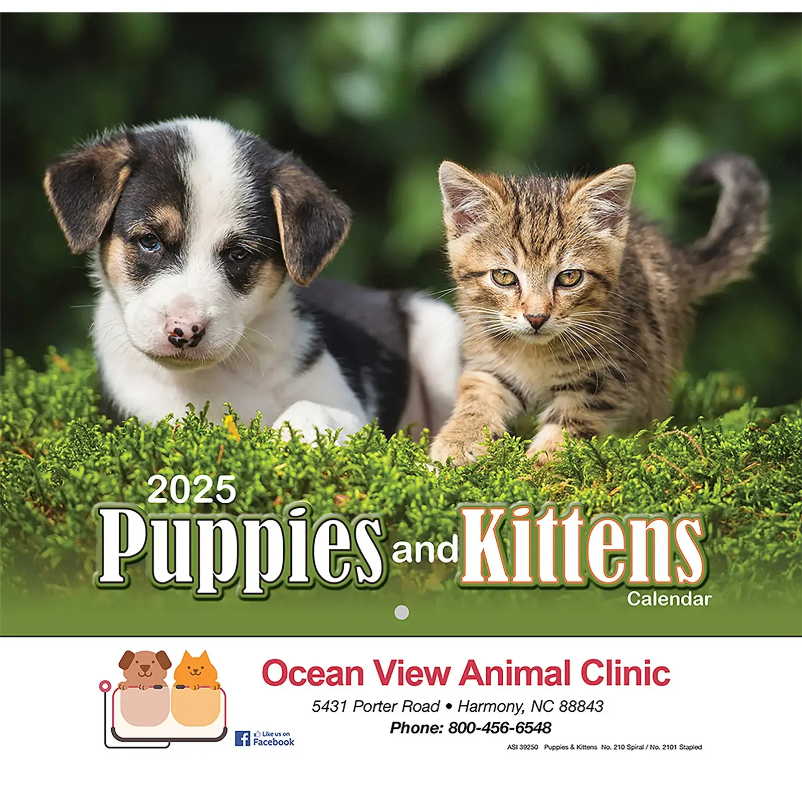 Puppies & Kittens Wall Calendar: 2025 Stapled