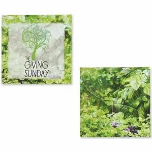 Say it with Seeds Herbs Envelope w/ Seed Packet