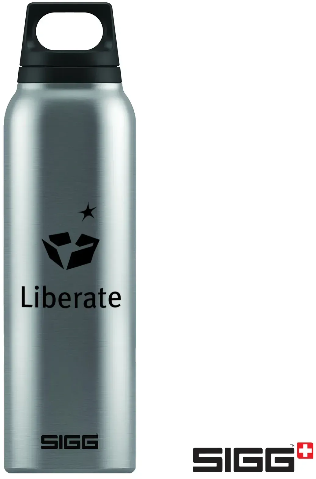 SIGG™ 17oz Hot Cold Stainless Steel Bottle with Fruit Filter