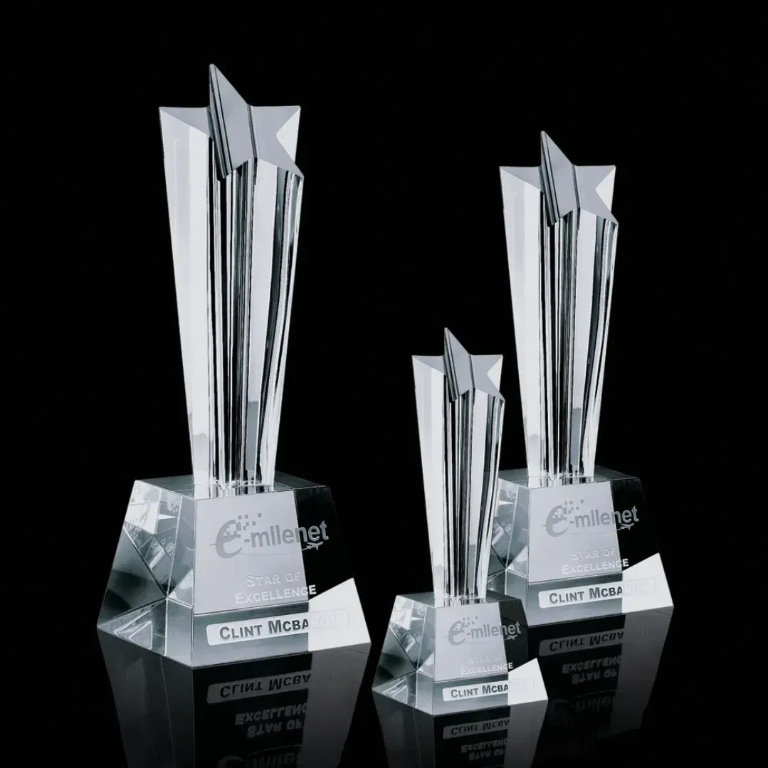 Custom-branded Silverton Star Awards for Business Promotion