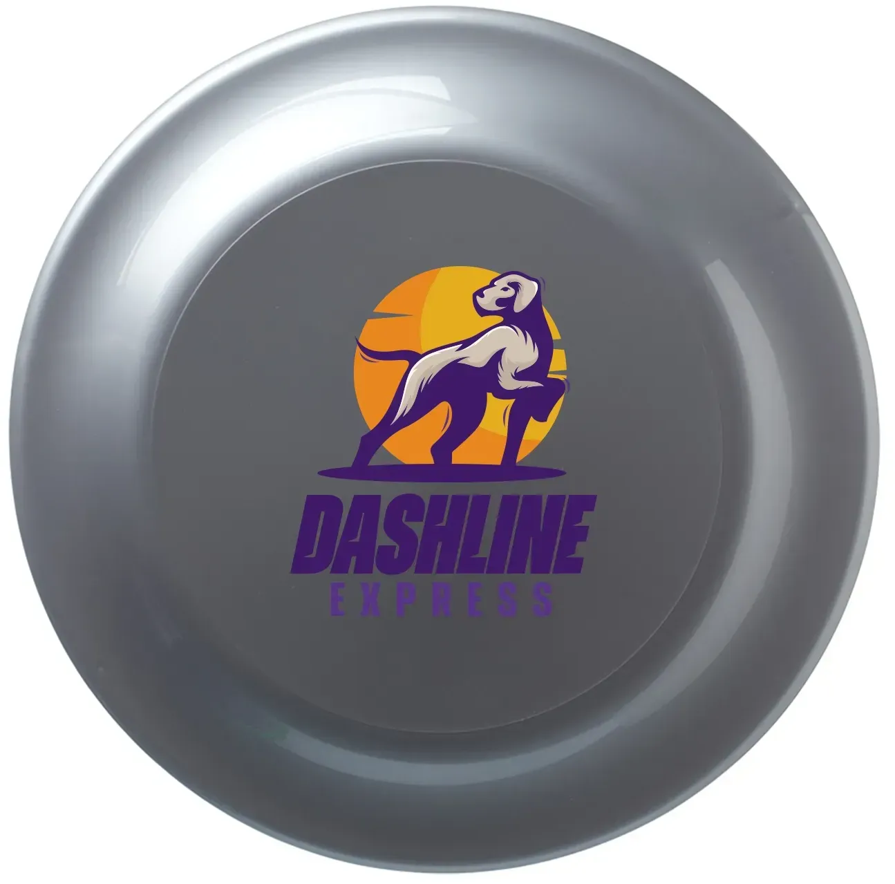 Branded Flying Discs