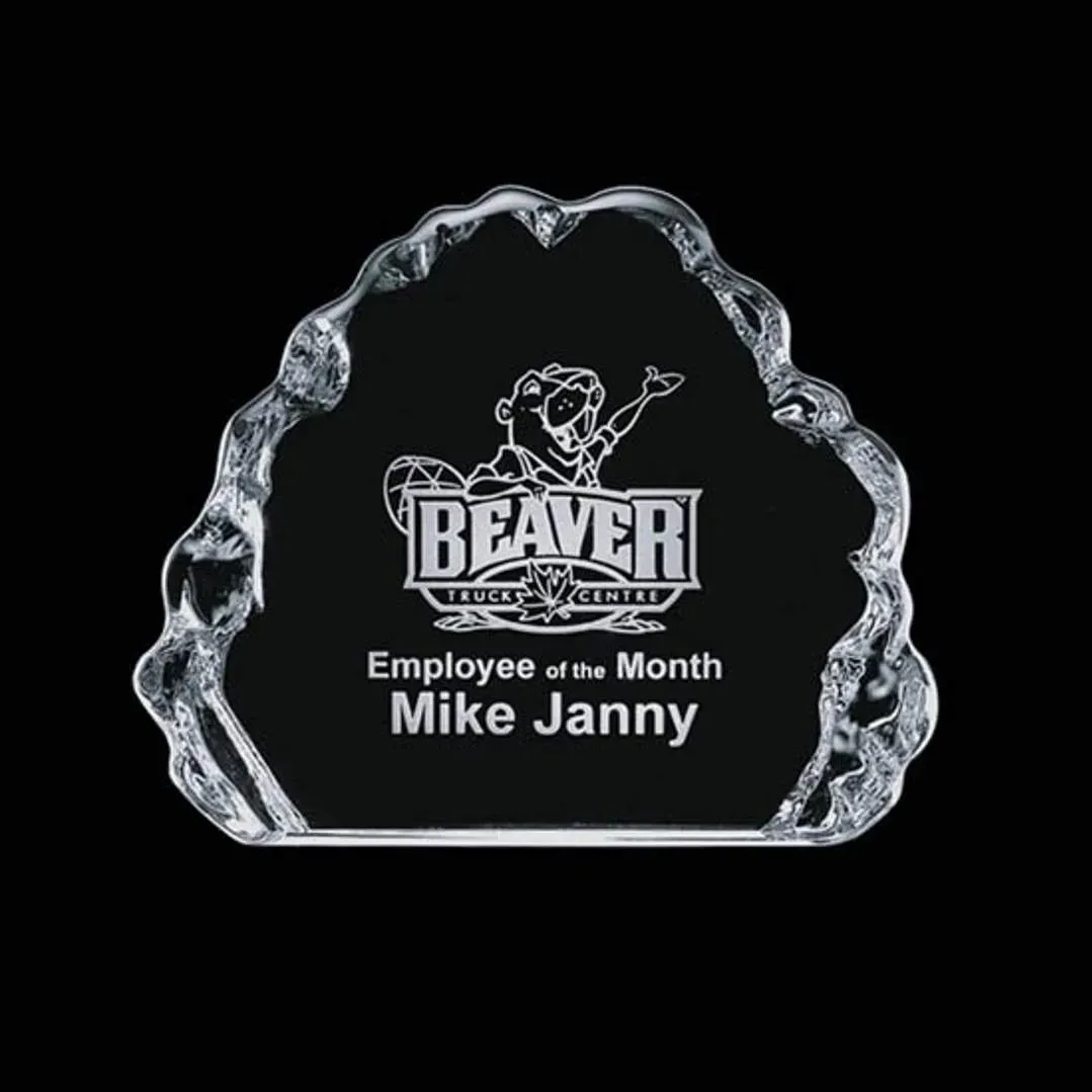 Custom Logo Iceberg Recognition Award - Variety Bases