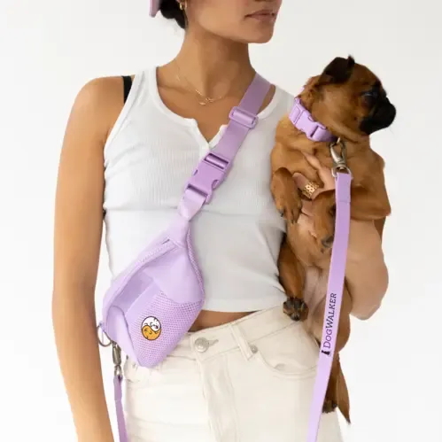 Springer Sling Bag + Dog Leash