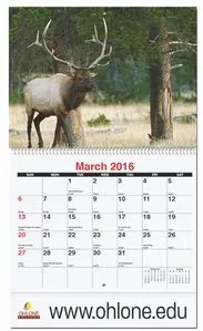 Stapled Monthly Wall Calendar w/ Wildlife