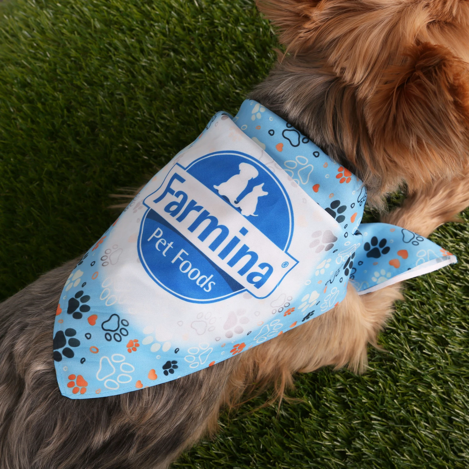 Sublimated RPET Bandana