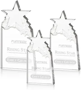 Augustine Award Star Mountain Award