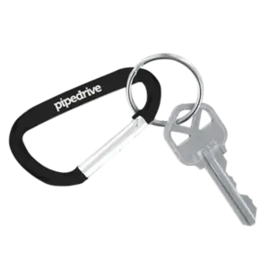 Carabiner Keychain