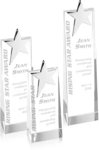 Custom Crystal Star Award | 6.75" Pure Optical Crystal for Star Performers