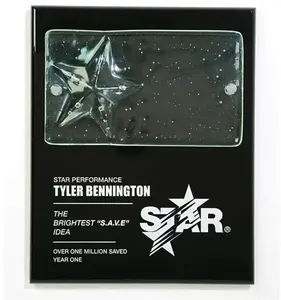 Contemporary Cast Star Glass Plaque - Premium American Made