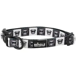 Dog Collar With Neoprene Backing: Large