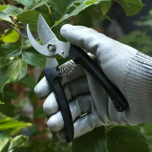 Evergreen Garden Pruner