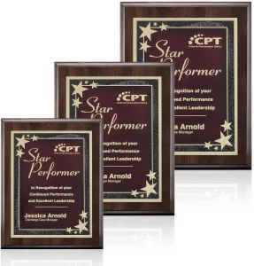 Farnsworth/Starburst Plaque