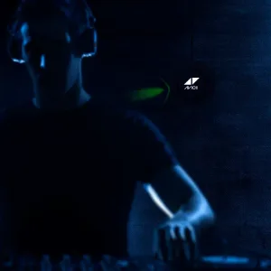 Flashing Party Lights LED DJ Lighting