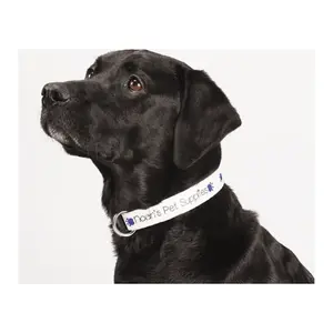 Custom Adjustable Pet Collar (1" Wide, Full Color)