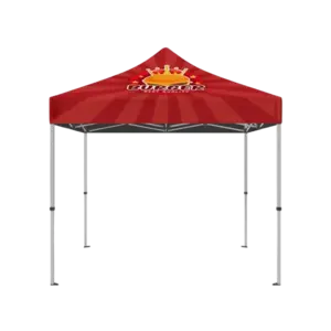 IMPORT 10' x 10' Canopy Package